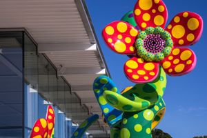 [Yayoi Kusama][0], _Flowers that Bloom in the Cosmos_ (2022). Art Gallery of New South Wales, Sydney. Courtesy © Yayoi Kusama. Photo: © Brett Boardman.


[0]: https://ocula.com/artists/yayoi-kusama/